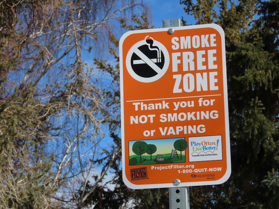 vape bundle