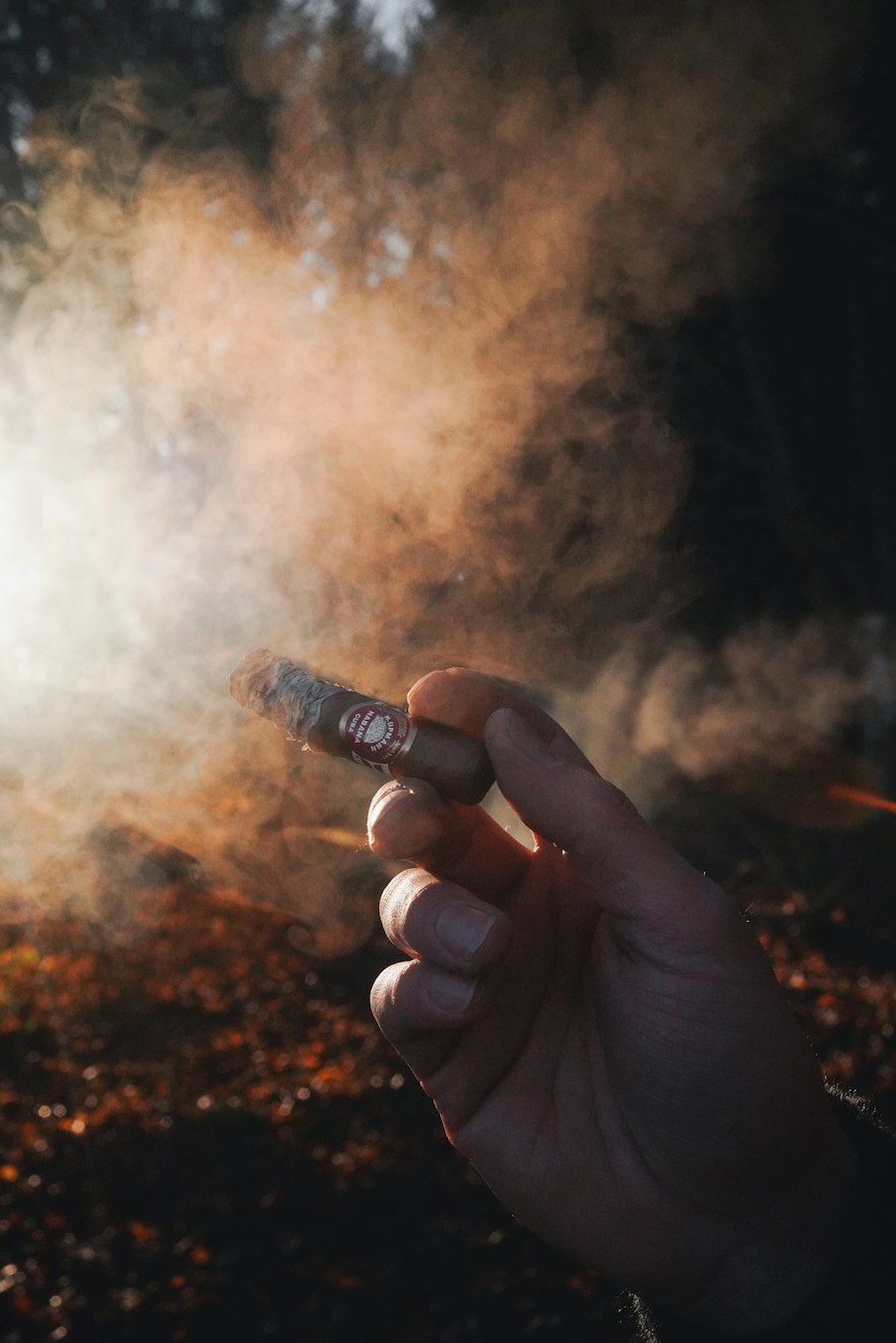 vape bundle