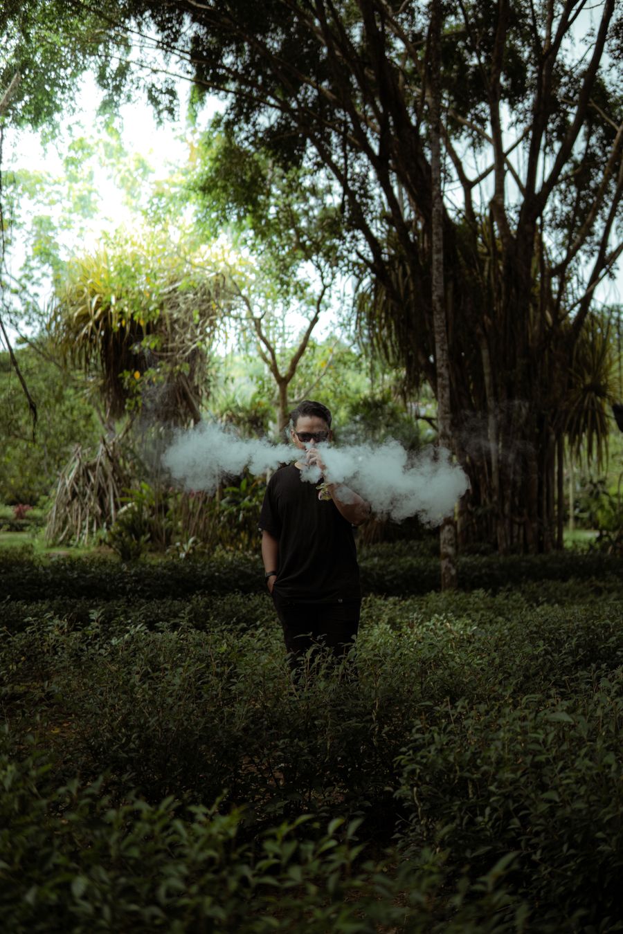 vape pod